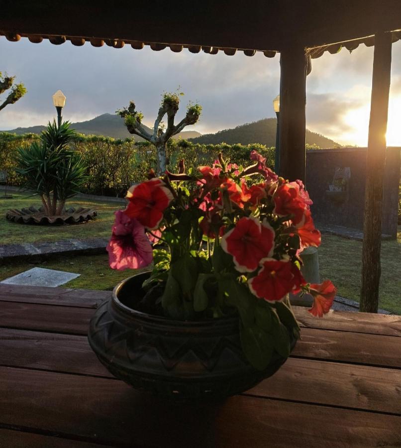 Farm stay Quinta Do Sossego-giestas *